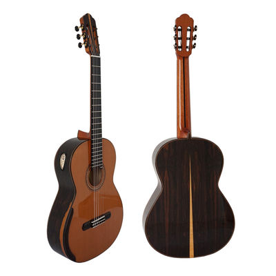 Chine Chine Yulong Guo Double Top Guitar Master Concert Modèles avec le dos et le côté en ziricote fournisseur