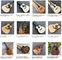 Toutes les guitares acoustiques de style Abalone D, tablette à doigts en ébène OEM personnalisé 41 pouces fournisseur