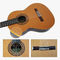 Yulong Guo A-Echoes Marque tout solide Nomex Double Top corde de nylon Guitare classique fournisseur