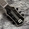 Custom Zakk Wylde Audio en sortes Guitare électrique couleur avec incrustations de blocs d'ébène fournisseur