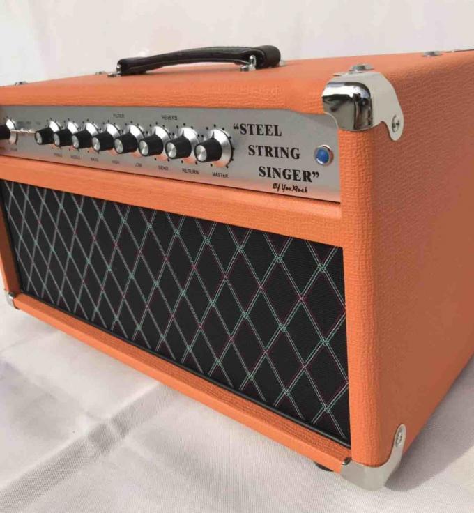 L'amplificateur en acier professionnel de valve de chanteur de ficelle du clone SSS de la tête 100W Dumble d'ampère de guitare de tube libèrent l'expédition