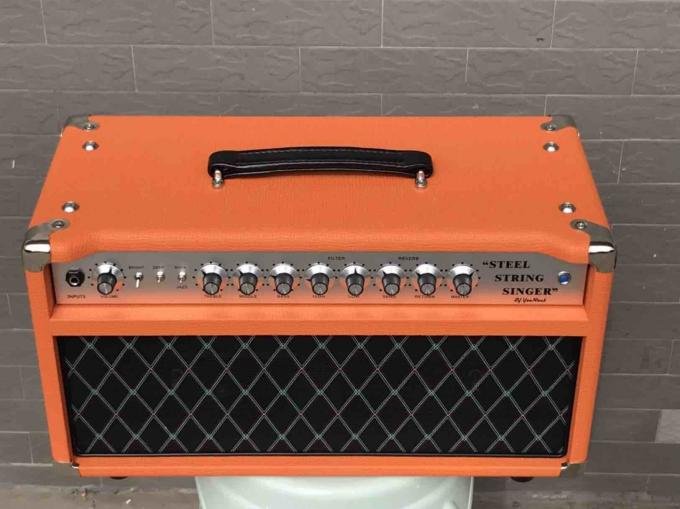 L'amplificateur en acier professionnel de valve de chanteur de ficelle du clone SSS de la tête 100W Dumble d'ampère de guitare de tube libèrent l'expédition