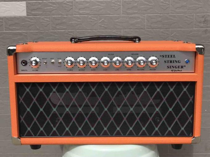 L'amplificateur en acier professionnel de valve de chanteur de ficelle du clone SSS de la tête 100W Dumble d'ampère de guitare de tube libèrent l'expédition