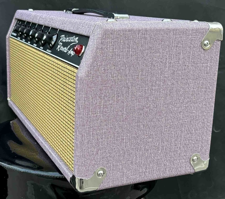 Ventilateur de réverbération de Princeton personnalisé à main de 64 ans 1x10 Amplificateur de guitare électrique fournisseur
