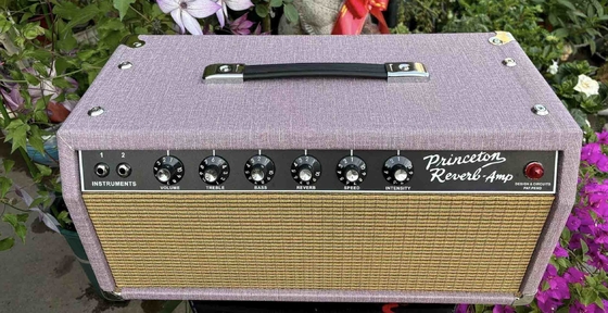 Ventilateur de réverbération de Princeton personnalisé à main de 64 ans 1x10 Amplificateur de guitare électrique fournisseur