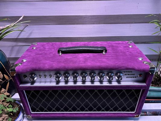 Tête de chanteur à cordes d'acier personnalisé 20W 50W 100W avec couleur suède, grand amplificateur modèle SSS fournisseur