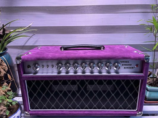 Tête de chanteur à cordes d'acier personnalisé 20W 50W 100W avec couleur suède, grand amplificateur modèle SSS fournisseur