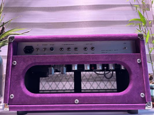 Tête de chanteur à cordes d'acier personnalisé 20W 50W 100W avec couleur suède, grand amplificateur modèle SSS fournisseur