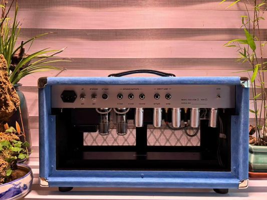 Tête de chanteur à cordes d'acier personnalisé 20W 50W 100W avec couleur suède, grand amplificateur modèle SSS fournisseur