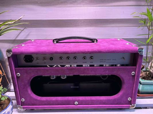 Tête de chanteur à cordes d'acier personnalisé 20W 50W 100W avec couleur suède, grand amplificateur modèle SSS fournisseur