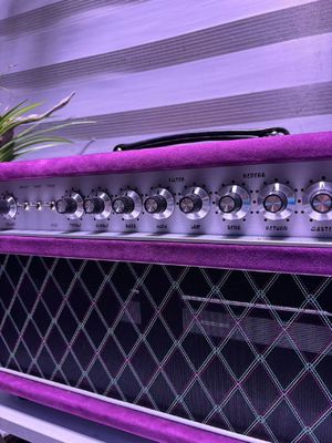 Tête de chanteur à cordes d'acier personnalisé 20W 50W 100W avec couleur suède, grand amplificateur modèle SSS fournisseur