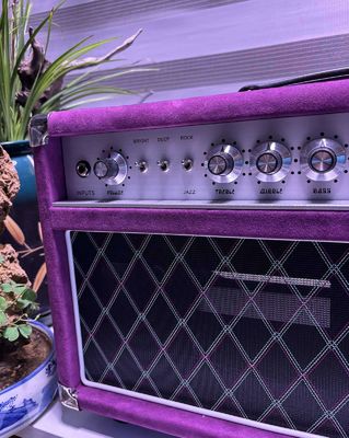 Tête de chanteur à cordes d'acier personnalisé 20W 50W 100W avec couleur suède, grand amplificateur modèle SSS fournisseur