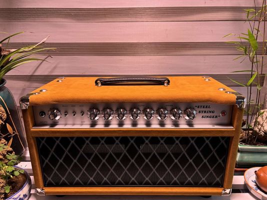 Tête d'ampli Custom Dumble CLONE Steel String Singer 20W 50W 100W avec couleur marron suède, modèle Grand Amplificateur SSS fournisseur