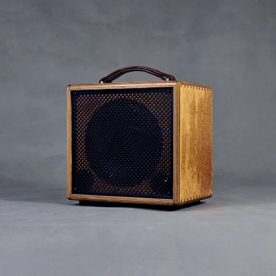Rolands AC-60s Clone Ss Amplificateur acoustique avec boîtier en bouleau naturel fournisseur