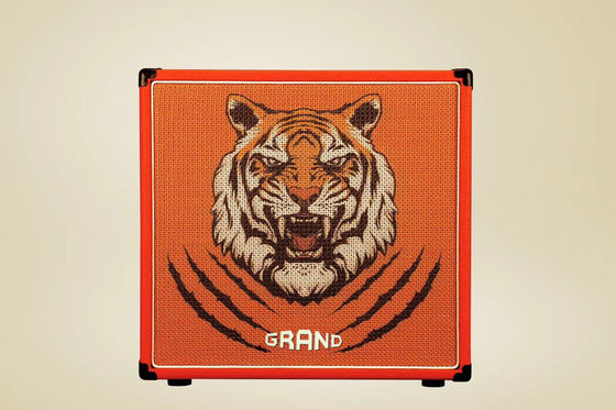 Les types STYLE GUITAR CABINET AMPLIFIER Le haut-parleur de guitare accepte n'importe quel amplificateur personnalisé fournisseur