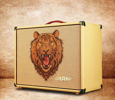 Les types STYLE GUITAR CABINET AMPLIFIER Le haut-parleur de guitare accepte n'importe quel amplificateur personnalisé fournisseur