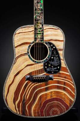 Martin D-300 Guitare acoustique Dreadnought en édition limitée