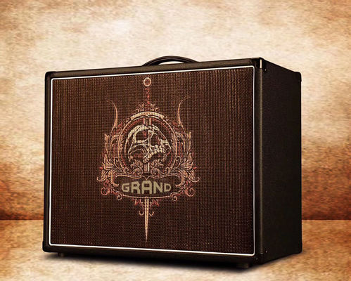 Les types STYLE GUITAR CABINET AMPLIFIER Le haut-parleur de guitare accepte n'importe quel amplificateur personnalisé